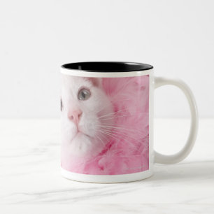 Caneca De Café Em Dois Tons Gato que veste a boa de pena
