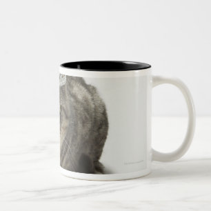 Caneca De Café Em Dois Tons Gato que veste uma tiara
