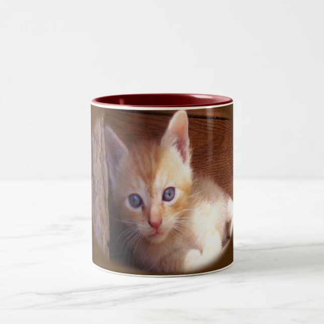 Caneca De Café Em Dois Tons Gatos (Centro)