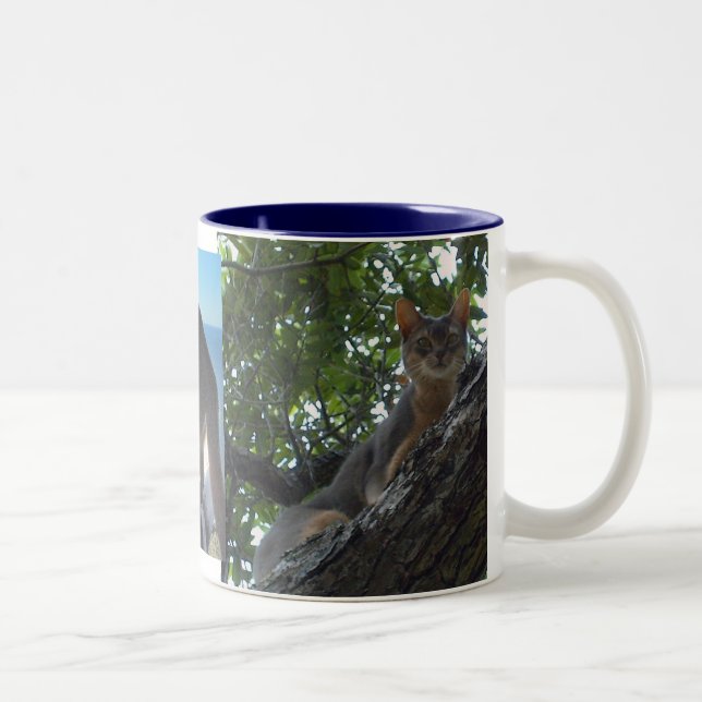 Caneca De Café Em Dois Tons Gatos Abissinérgicos (Direita)