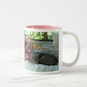Caneca De Café Em Dois Tons Gatos Abyssinian
