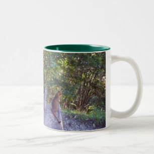 Caneca De Café Em Dois Tons Gatos Abyssinian