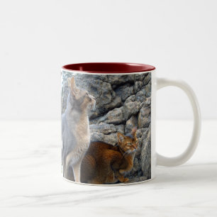 Caneca De Café Em Dois Tons Gatos Abyssinian irmão e irmã