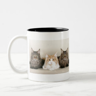 Caneca De Café Em Dois Tons Gatos De Casca