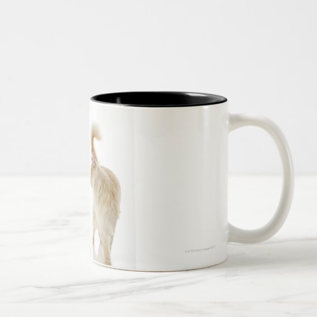 Caneca De Café Em Dois Tons Gatos de Munchkin (Direita)