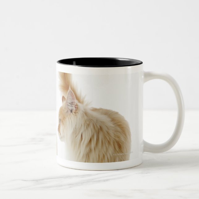 Caneca De Café Em Dois Tons Gatos de Munchkin (Direita)