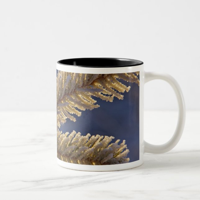 Caneca De Café Em Dois Tons Geada em árvore sempre-verde, Homer, Alasca (Direita)