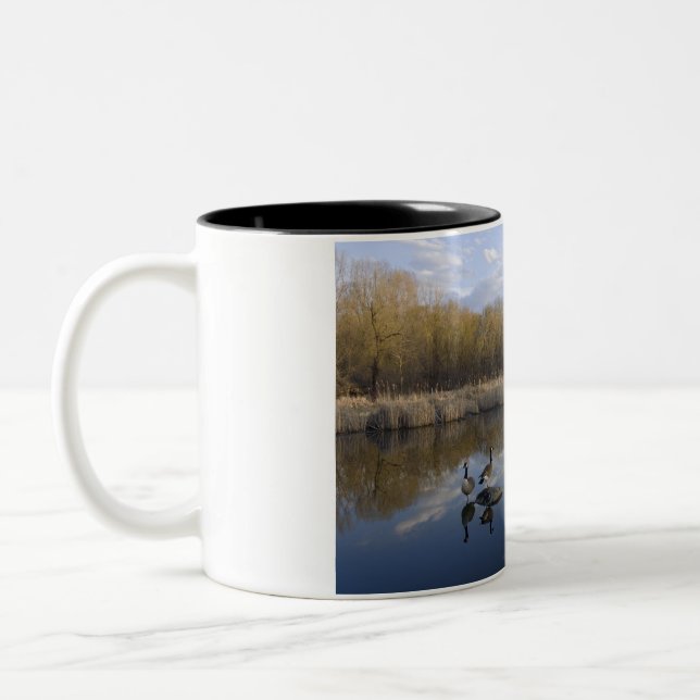 Caneca De Café Em Dois Tons Geese Perch no Parque de West Santo Paul (Esquerda)