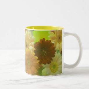 Caneca De Café Em Dois Tons Gerbera Daisy Flowers Fotografa Pinças de café