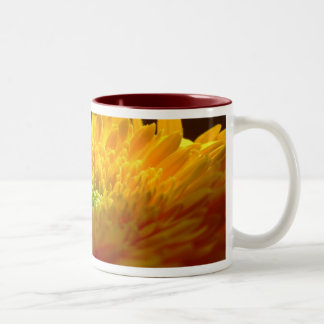 Caneca De Café Em Dois Tons Gerbera Mug Amarelo