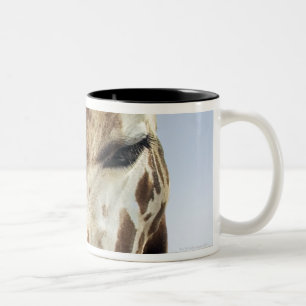 Caneca De Café Em Dois Tons Girafa