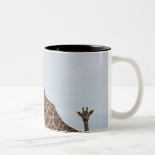 Caneca De Café Em Dois Tons Girafa (camelopardalis) do Giraffa, nacional de