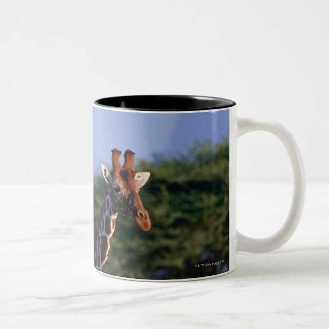 Caneca De Café Em Dois Tons Girafa Reticulated 2 (Direita)