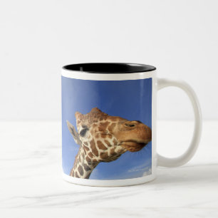 Caneca De Café Em Dois Tons Girafa Reticulated (camelopardalis do Giraffa)