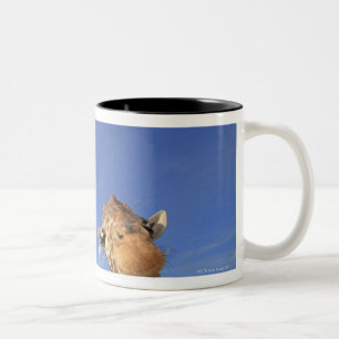Caneca De Café Em Dois Tons Girafa Reticulated (camelopardalis do Giraffa) 3