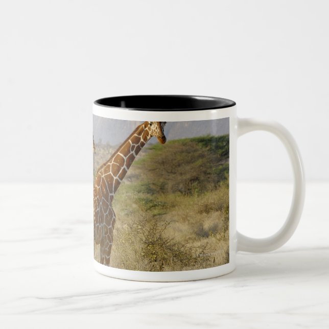 Caneca De Café Em Dois Tons Girafa somaliano, girafa Reticulated, Giraffa (Direita)