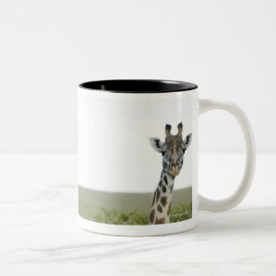 Caneca De Café Em Dois Tons Girafas em Kenya, África 2