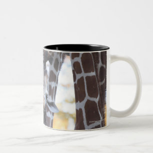 Caneca De Café Em Dois Tons Girafas no jardim zoológico de Tama, jardim