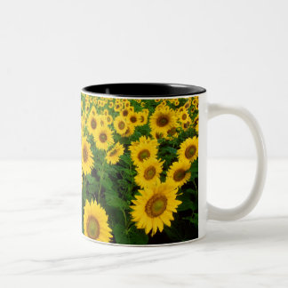 Caneca De Café Em Dois Tons Girassóis
