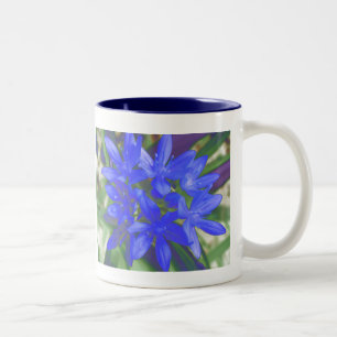 Caneca De Café Em Dois Tons Glória Da Lama Azul Fluorescente De Neve