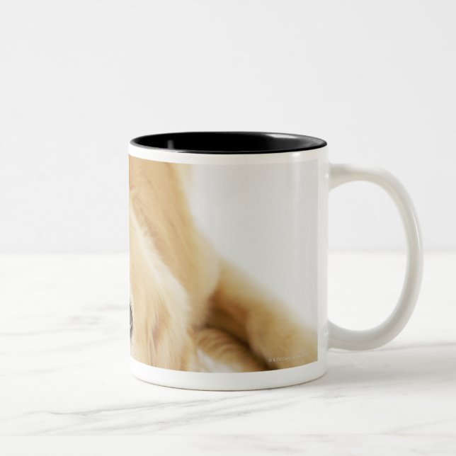 Caneca De Café Em Dois Tons Golden retriever e ornamento (Direita)