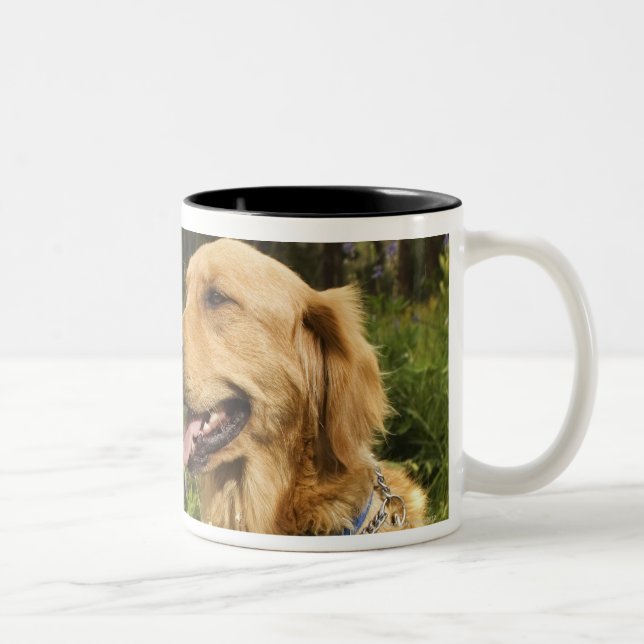 Caneca De Café Em Dois Tons Golden retriever no campo (Direita)