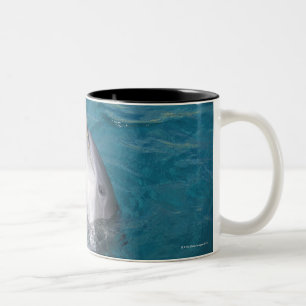 Caneca De Café Em Dois Tons Golfinho de Bottlenose litoral