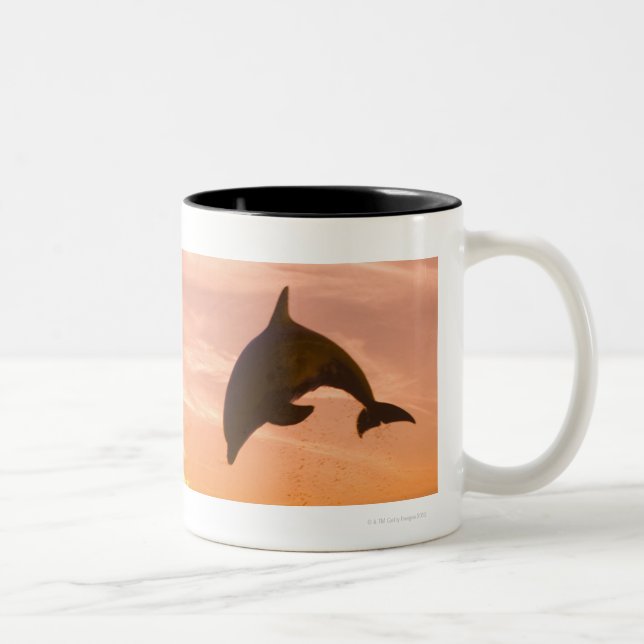 Caneca De Café Em Dois Tons Golfinho de Bottlenose que salta 2 (Direita)