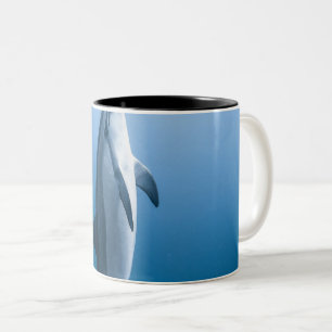 Caneca De Café Em Dois Tons Golfinho-do-mar
