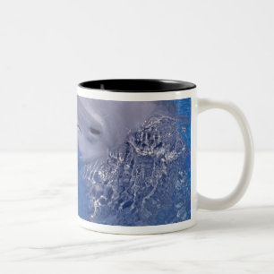 Caneca De Café Em Dois Tons Golfinho Estrangulado, Tursiops Truncatus