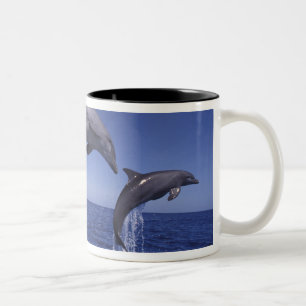 Caneca De Café Em Dois Tons golfinhos-do-caribe, nariz-de-garrafa