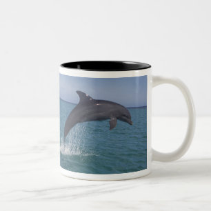Caneca De Café Em Dois Tons golfinhos-do-caribe, nariz-de-garrafa