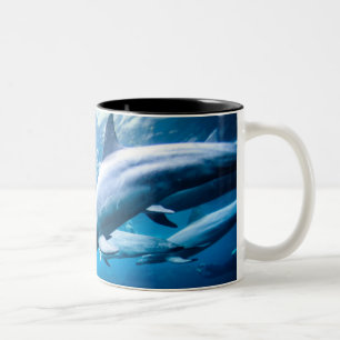 Caneca De Café Em Dois Tons Golfinhos subaquáticos