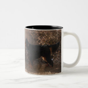 Caneca De Café Em Dois Tons Gordon Setter Caça Cerâmica De Dois Tons