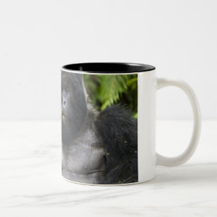 Caneca De Café Em Dois Tons Gorila de montanha e Silverback