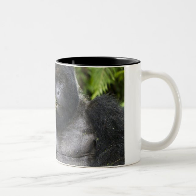 Caneca De Café Em Dois Tons Gorila de montanha e Silverback (Direita)