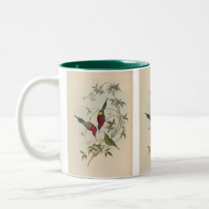 Caneca De Café Em Dois Tons Goulpourah Sun-Bird por John Gould
