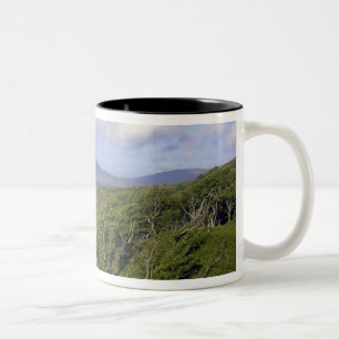 Caneca De Café Em Dois Tons Grã-Bretanha, Reino Unido, Escócia. Em