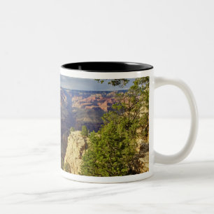 Caneca De Café Em Dois Tons Grand Canyon, da orla sul ao pôr do sol, 6