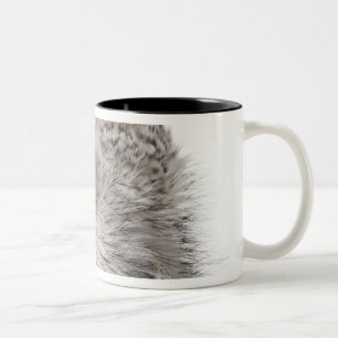 Caneca De Café Em Dois Tons Grande coruja Horned - bubão Virginianus