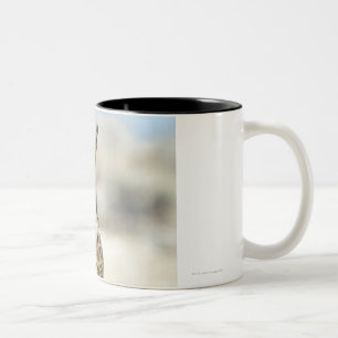 Caneca De Café Em Dois Tons Grande coruja Horned (virginianus do bubão)