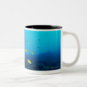 Caneca De Café Em Dois Tons Grande grupo de natação alaranjada Ocellated dos