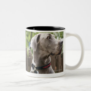 Caneca De Café Em Dois Tons Great dane azul e cães do pug em trelas