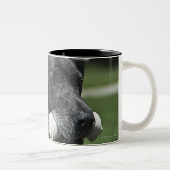 Caneca De Café Em Dois Tons Great dane com osso (Direita)
