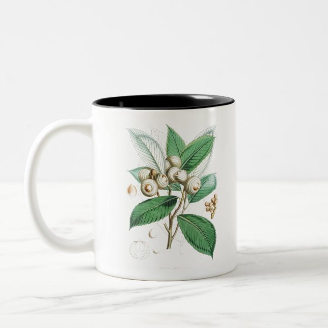 Caneca De Café Em Dois Tons Green Bull Oak (Esquerda)