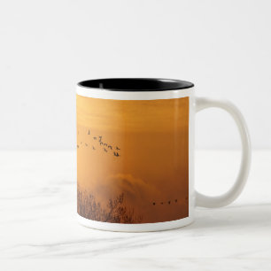 Caneca De Café Em Dois Tons Grous-de-sandália silhuetados contra o sol nascent