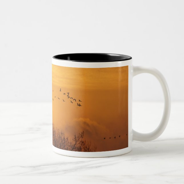 Caneca De Café Em Dois Tons Gruas de Sandhill silhuetas contra sol ascensão (Direita)
