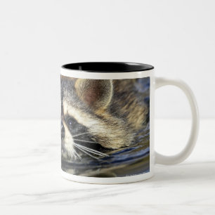Caneca De Café Em Dois Tons Guaxinim adulto, lotorOrder do Procyon: