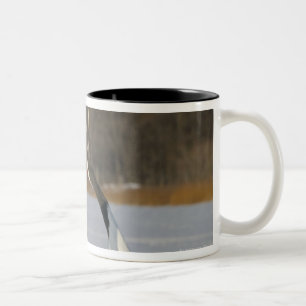 Caneca De Café Em Dois Tons Guindastes japoneses que dançam na neve