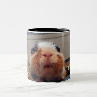 Caneca De Café Em Dois Tons Guinea pig kiss mug